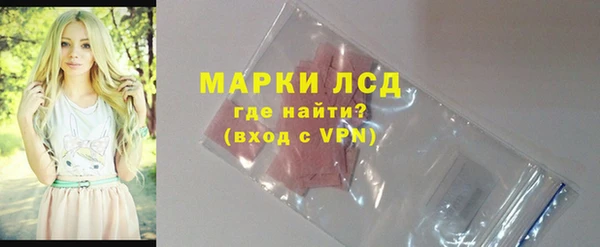 стафф Аркадак