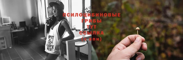 apvp Арсеньев