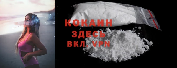 стафф Аркадак