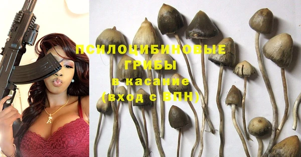 стафф Аркадак