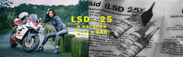 стафф Аркадак