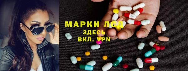 гидропоника Ростов