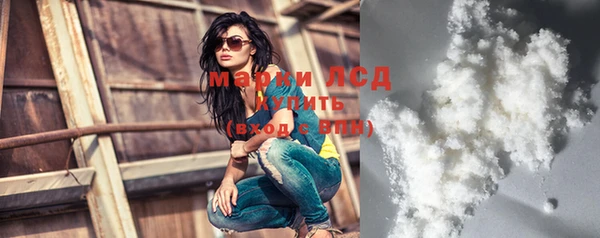 стафф Аркадак