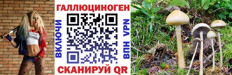 Галлюциногенные грибы GOLDEN TEACHER  Партизанск 